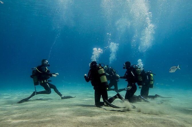 Discover Scuba Diving - What Makes This Tour Stand Out?