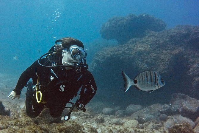 DISCOVER SCUBA DIVING - First step to your certification - The Itinerary: Step-by-Step Breakdown