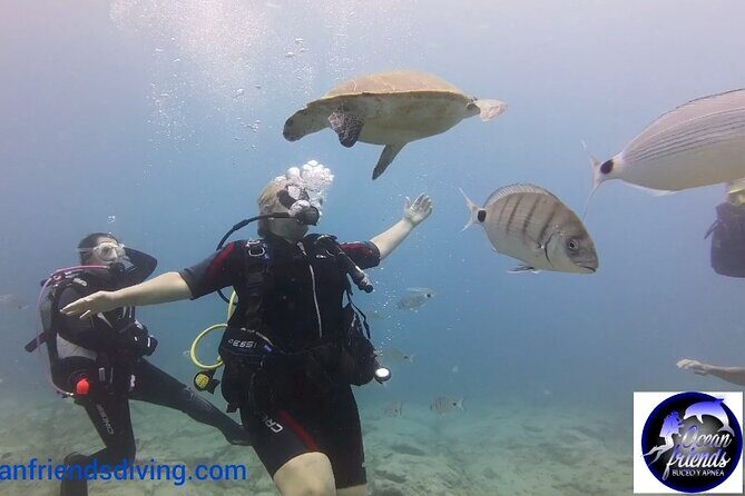 Discover Scuba Diving, free pictures included - Who Will Love This Experience?