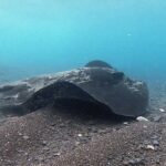Discover Scuba Diving in Costa Calma - FAQ