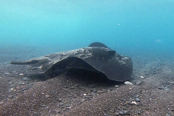 Discover Scuba Diving in Costa Calma - FAQ