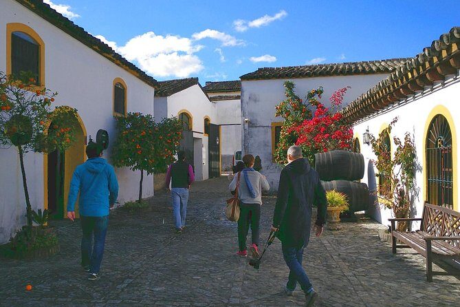 Discover Sherry in Jerez - Key Points
