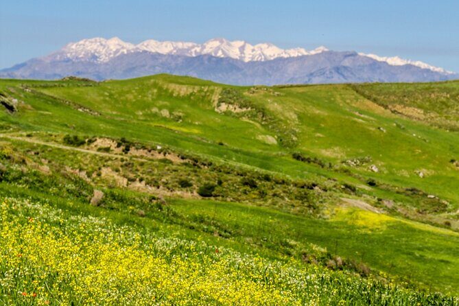 Discover South Crete  Rethymno - What’s Included and What to Expect
