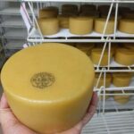 Discover the Art of Idiazabal Cheese in the Basque Country - Frequently Asked Questions