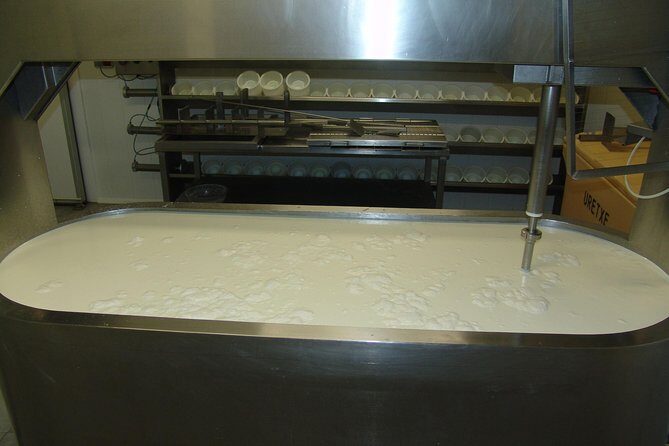 Discover the Art of Idiazabal Cheese in the Basque Country - An In-Depth Look at the Idiazabal Cheese Tour
