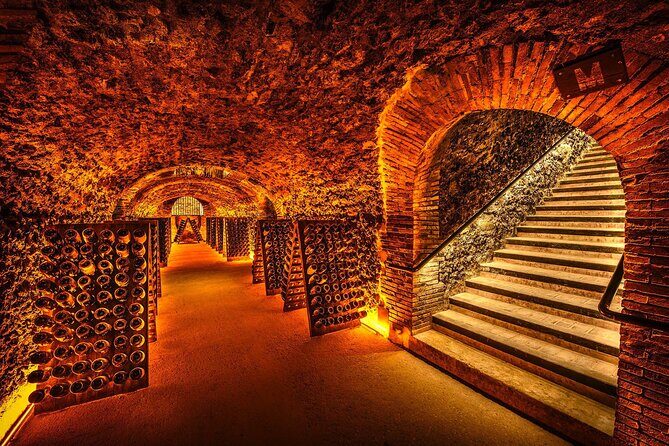 Discover The Cellars in The Heart of The Countryside in Champagne - FAQ