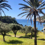 Discover the Island Dragonera by kayak and on foot - What’s Included and What’s Not