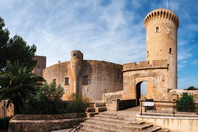 Discover the major cultural attractions of Palma De Mallorca on a Private Tour - Who Will Love This Tour?