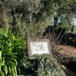 Discover the Paradise Valley - a quick escape for Everyone - An In-Depth Look at the Paradise Valley Tour