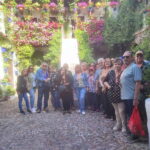 Discover the Patios of Cordoba: A Treasure of Color and Tradition. - What to Expect at Each Stop