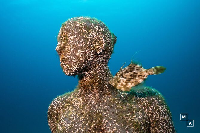 Discover the underwater world of Lanzarote - Why This Tour Offers Great Value