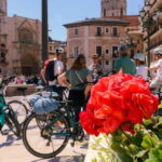 Discover Valencia by bike  Dutch-speaking tour - A Deep Dive into the Valencia Bike Tour