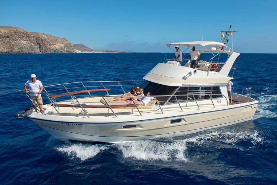 Discover whales in Tenerife: exclusive yacht tour with swimming and lunch. - Why This Tour is Worth It