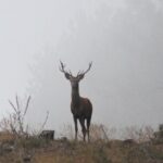 Discovering Nature in Serra da Lousã - Final Thoughts: Who Should Consider This Tour?