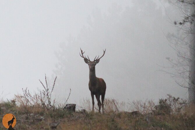 Discovering Nature in Serra da Lousã - Final Thoughts: Who Should Consider This Tour?