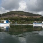Discovering Vigo ria and mussels in the traditional boat - Who Will Love This Experience?