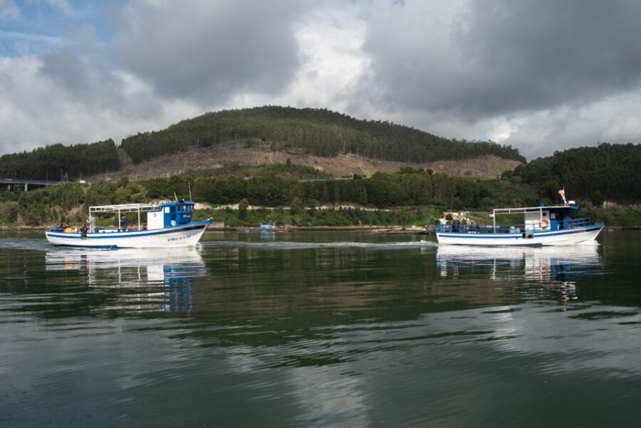 Discovering Vigo ria and mussels in the traditional boat - Who Will Love This Experience?