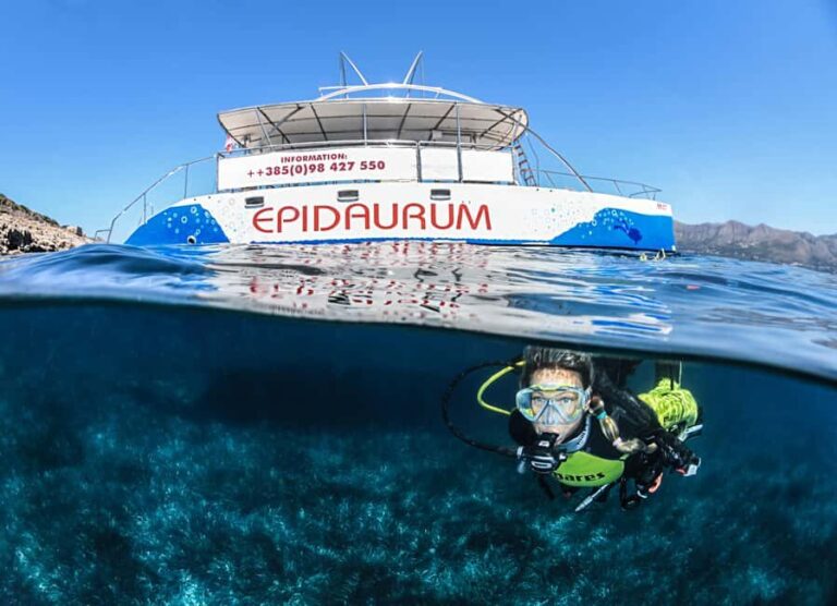 Discovery Dive - 2 hour Uncertified Diver Introductory Dive - Who Should Consider This Tour?