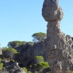 Discovery of the Grands Sites de l'Hérault from Montpellier - Practical Details and Value