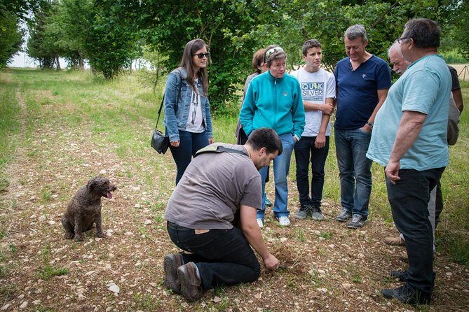 Discovery of the world of Truffles and tasting - A Deeper Look: The Experience and What You’ll Find