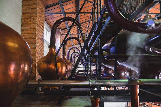Discovery tour Braastad Cognac - Who Is This Tour Best Suited For?
