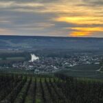 Discovery Tour Reims and Epernay - What’s the Value?