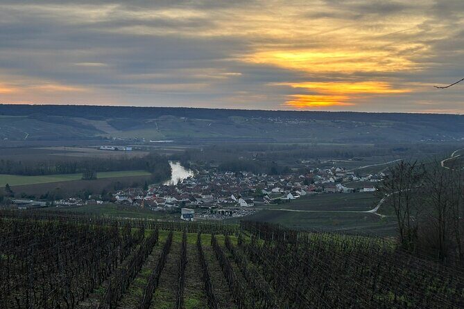 Discovery Tour Reims and Epernay - What’s the Value?