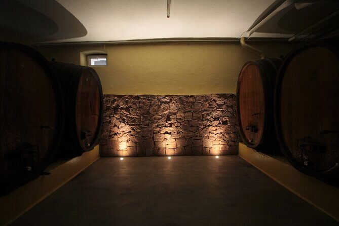 Discovery Vineyard - An In-Depth Look at the Experience