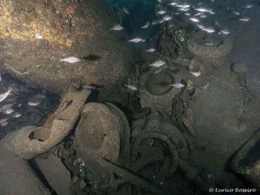 Dive the U-boat 1277 - the Most Iconic Dive in Portugal - What to Expect: A Detailed Look at Your Underwater Adventure
