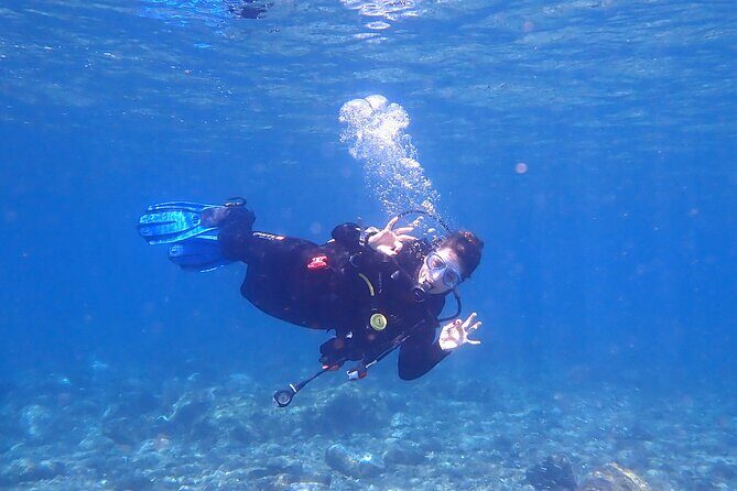 Dives Packages with Transfers in Tenerife - A Closer Look at the Tenerife Diving Experience