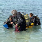 Diving - Exploring the Experience: What to Expect