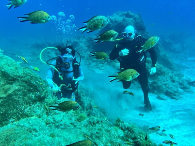 Diving course for beginners in turtle area Tenerife - Who Should Consider This Tour?