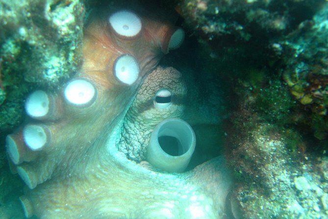 Diving day tour with 2 dives - Comfort and Equipment