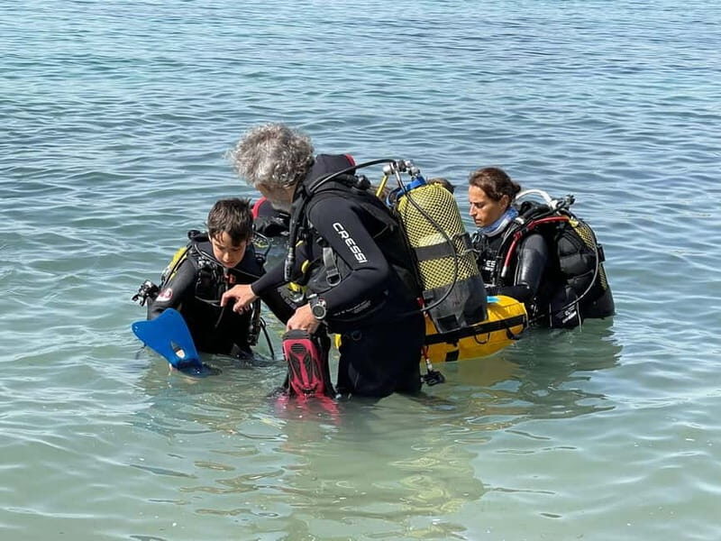 Diving - Exploring the Experience: What to Expect