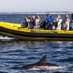 Dolphin Discovery - Frequently Asked Questions