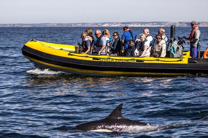 Dolphin Discovery - Frequently Asked Questions