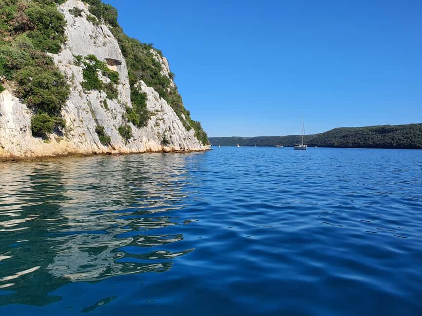 Dolphin safari every evening - Exploring the Tour: What to Expect