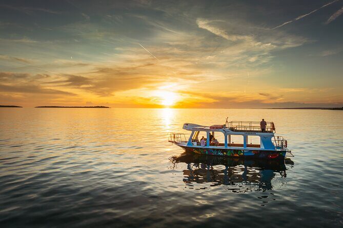 Dolphin Safari in Faana - Is the Dolphin Safari in Faana Worth It?