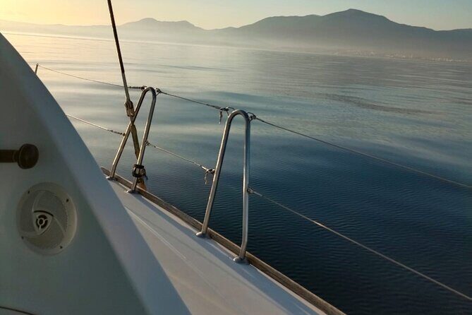 Dolphin trips on a catamaran - The Crew and the Vessel
