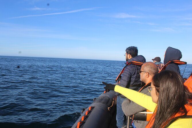Dolphin Watching + 2 Islands Tour - From Faro - Frequently Asked Questions