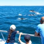 Dolphin Watching and Cave Boat Cruise from Albufeira - Why This Tour Is Worth Your Time