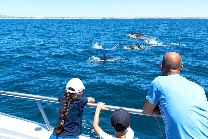 Dolphin Watching and Cave Boat Cruise from Albufeira - Why This Tour Is Worth Your Time