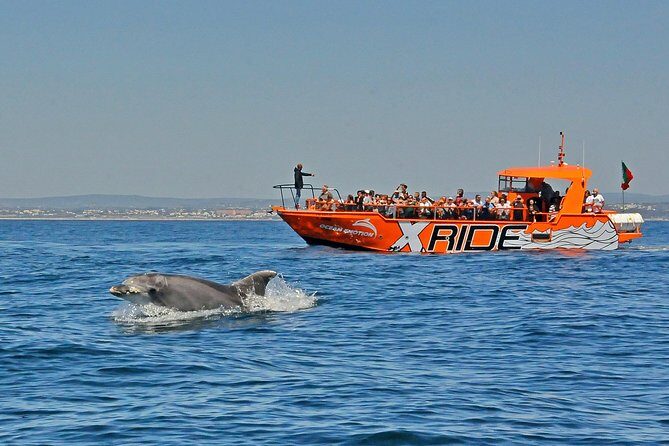 Dolphin Watching and Caves Cruise - What Travelers Say