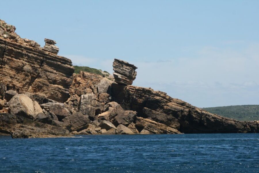 Dolphin Watching and Local Caves - An In-Depth Look at the Experience