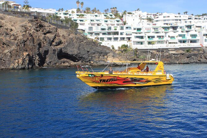 Dolphin Watching Cruise to Lobos Island - A Balanced Look at the Value and Experience