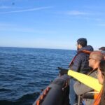 Dolphin Watching from Faro - Exploring the Itinerary in Detail