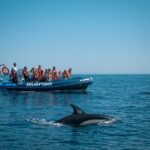 Dolphin Watching from Lagos with Marine Biologists - Frequently Asked Questions
