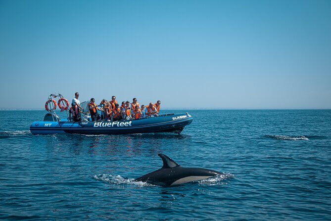 Dolphin Watching from Lagos with Marine Biologists - Frequently Asked Questions