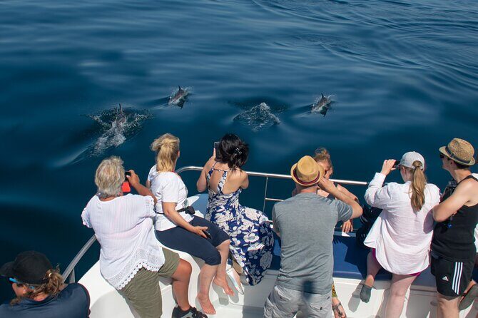 Dolphin Watching Half-Day Cruise from Lagos - FAQ