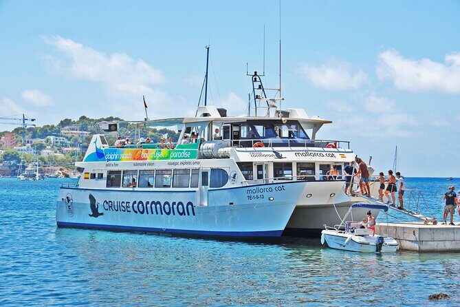 Dolphin Watching in Majorca - Final Thoughts